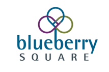 BlueBerrySquare